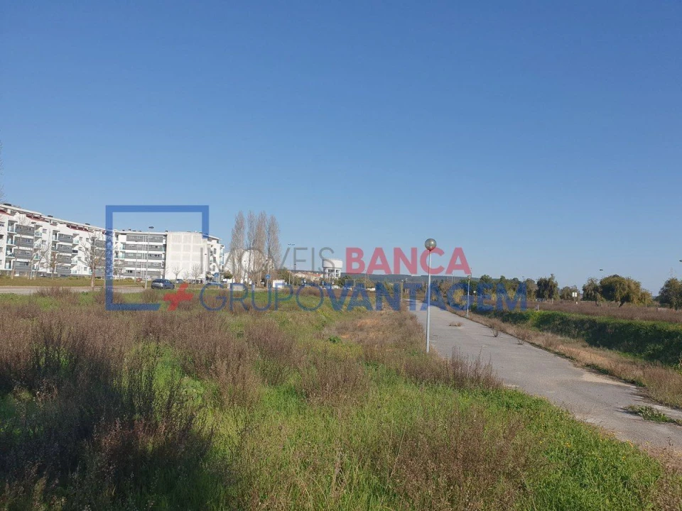 Terreno para Venda em São João Baptista Foto 1