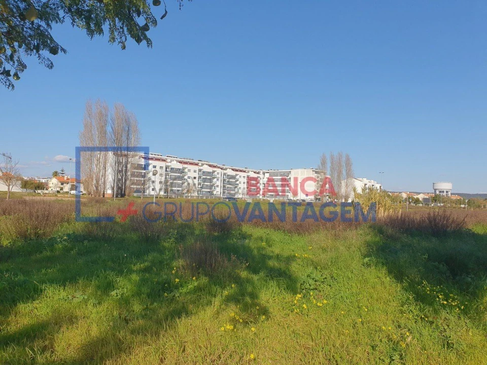 Terreno para Venda em São João Baptista Foto 4