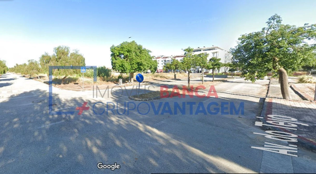 Terreno para Venda em São João Baptista Foto 13