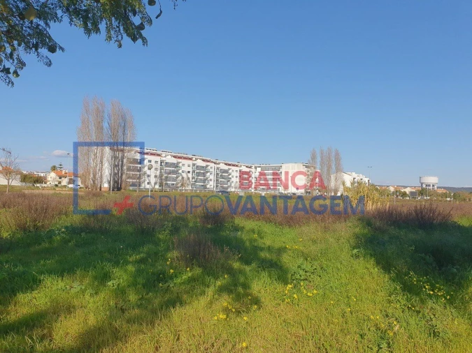 Terreno para Venda em São João Baptista Foto 4