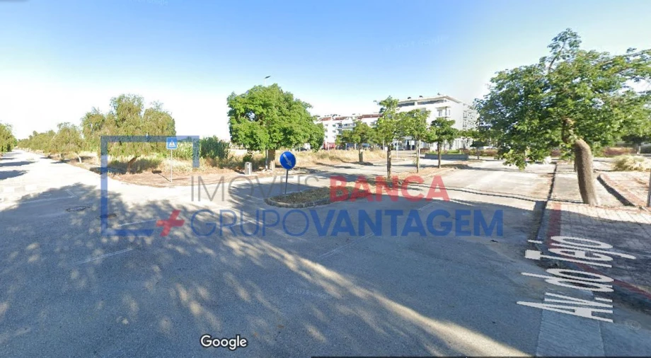 Terreno para Venda em São João Baptista Foto 13