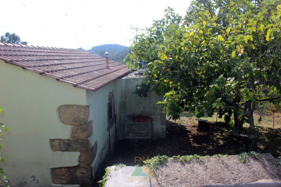 Quinta T5 para Venda em Ossela Foto 19