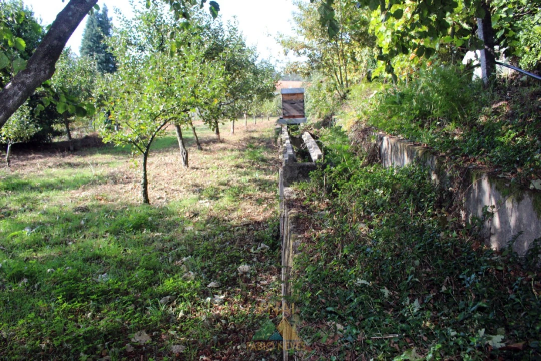 Quinta T5 para Venda em Ossela Foto 35