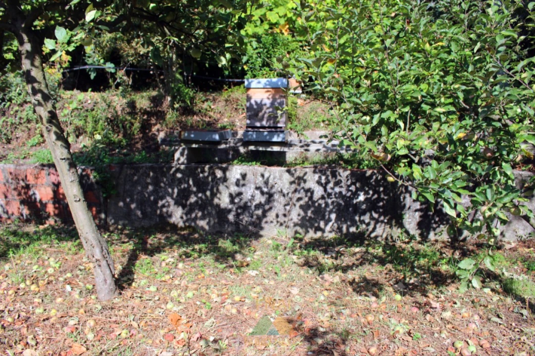 Quinta T5 para Venda em Ossela Foto 37