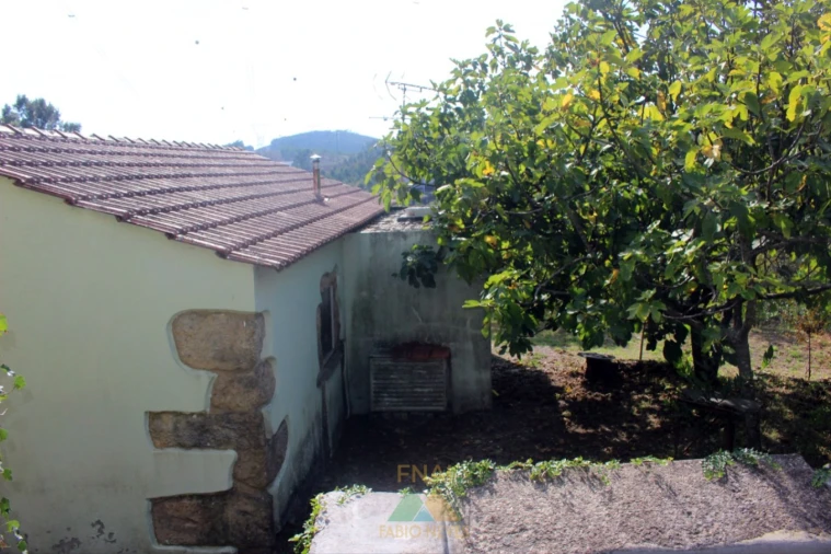 Quinta T5 para Venda em Ossela Foto 19