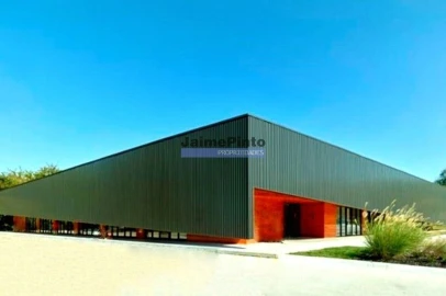 Terreno Agricola ou Rústico para Venda em Cacia