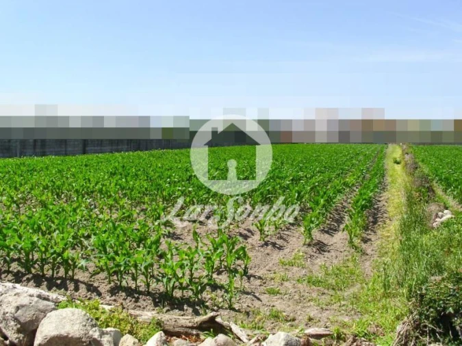 Terreno Agricola ou Rústico para Venda em Touguinha e Touguinhó Foto 2