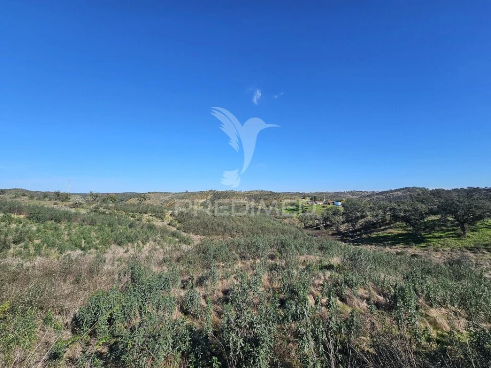 Quinta T2 para Venda em Ourique Foto 20