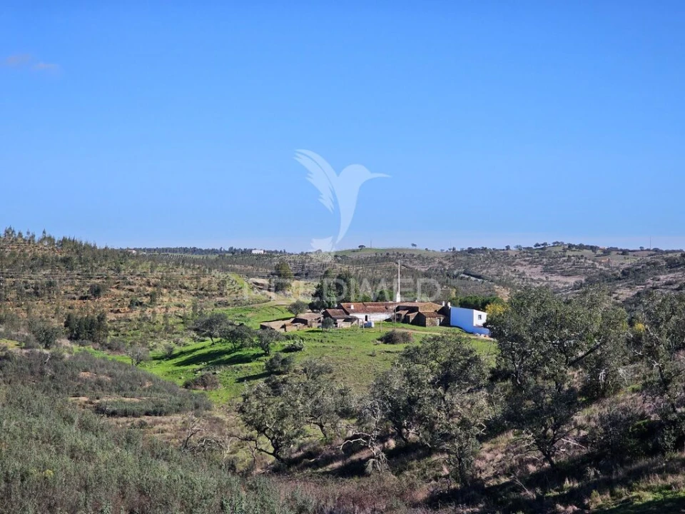 Quinta T2 para Venda em Ourique Foto 12