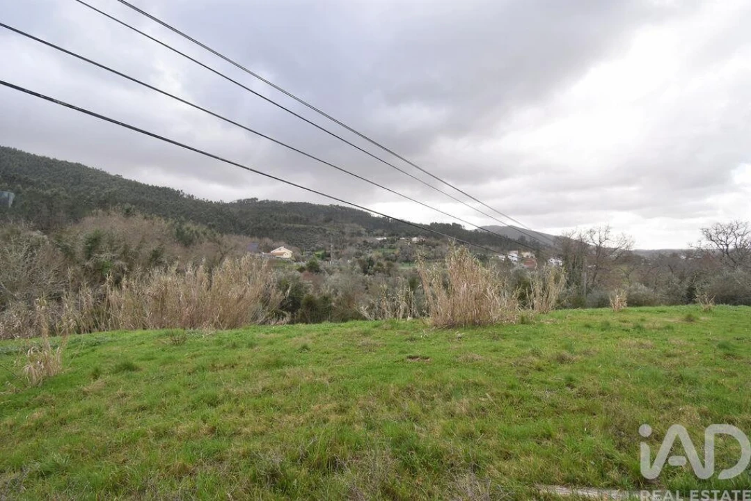 Terreno para Venda em São Miguel, Santa Eufémia e Rabaçal Foto 8