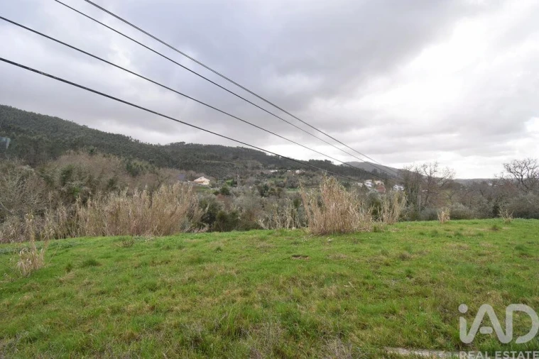 Terreno para Venda em São Miguel, Santa Eufémia e Rabaçal Foto 8