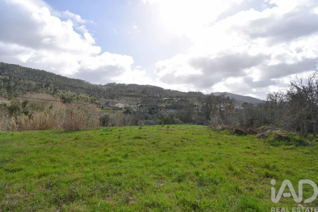 Terreno para Venda em São Miguel, Santa Eufémia e Rabaçal Foto 18