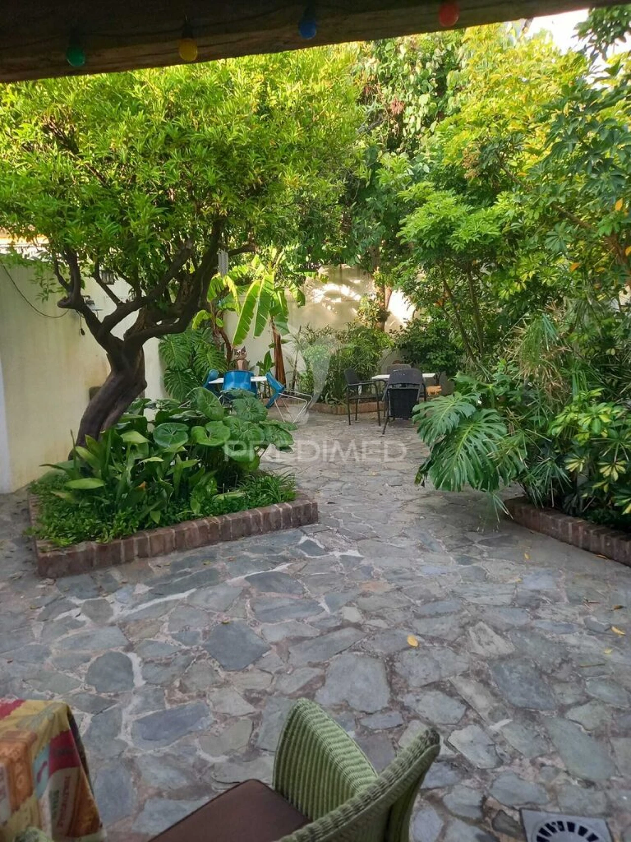 Quinta T4 para Venda em Évora (São Mamede, Sé, São Pedro e Santo Antão) Foto 6