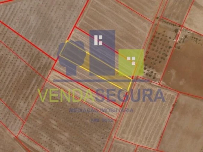 Terreno para Venda em Safara e Santo Aleixo da Restauração Foto 3
