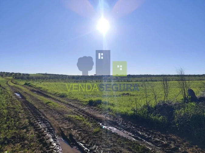 Terreno para Venda em Safara e Santo Aleixo da Restauração Foto 2