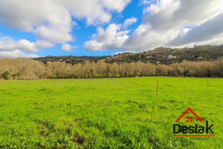 Moradia T2 para Venda em São Pedro do Sul, Várzea e Baiões Foto 19