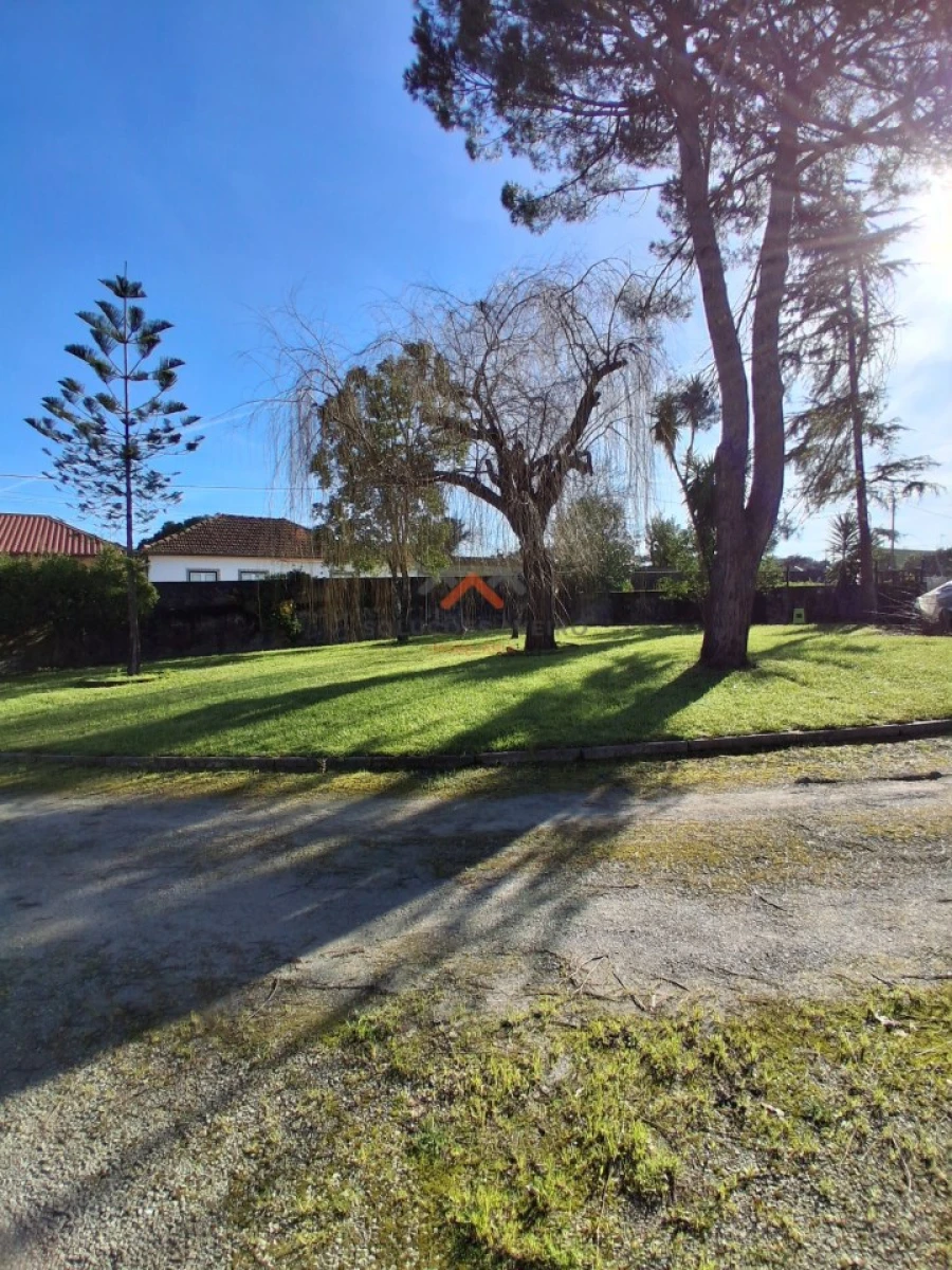 Moradia T6 para Venda em Trofa, Segadães e Lamas do Vouga Foto 3