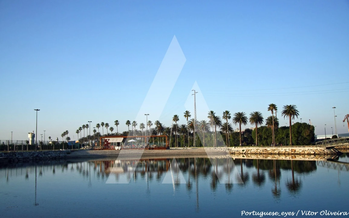 Terreno para Venda em Ílhavo (São Salvador) Foto 14