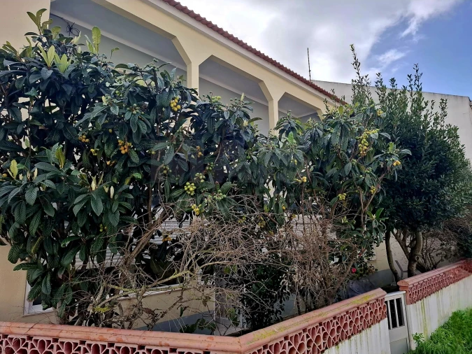 Moradia T2 para Arrendamento em Sines Foto 1