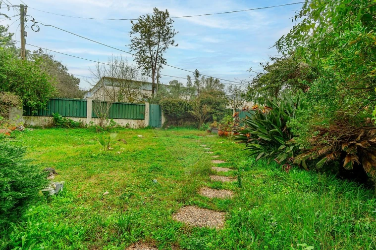 Terreno para Venda em Amora Foto 7