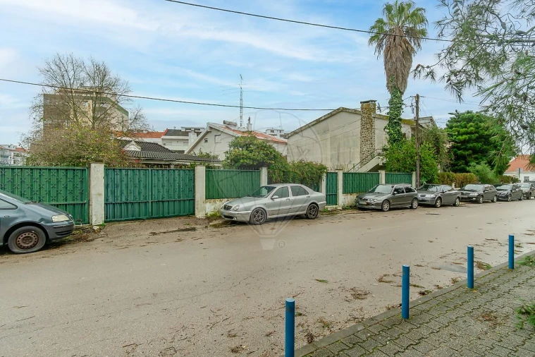 Terreno para Venda em Amora