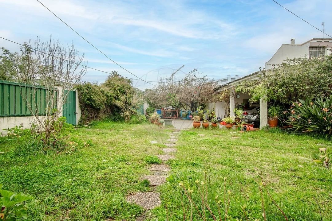 Terreno para Venda em Amora Foto 6