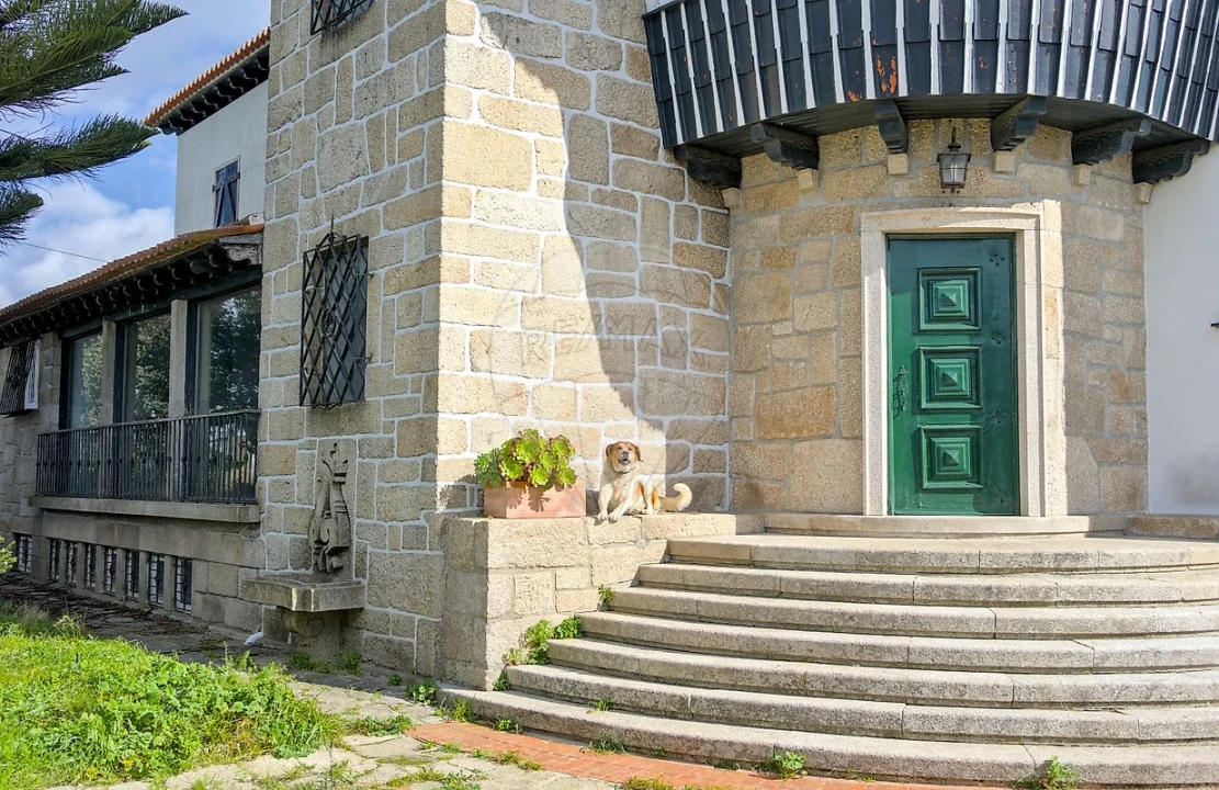 Quinta T
           para Venda em Cidade da Maia Foto 13