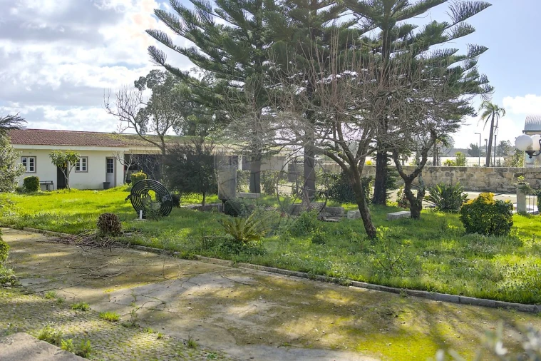 Quinta T
           para Venda em Cidade da Maia Foto 16