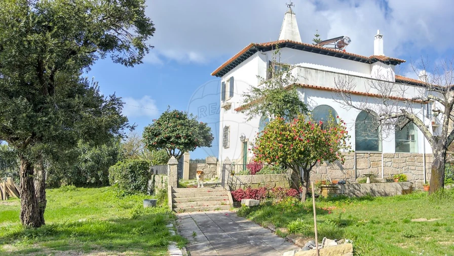 Quinta T
           para Venda em Cidade da Maia Foto 14