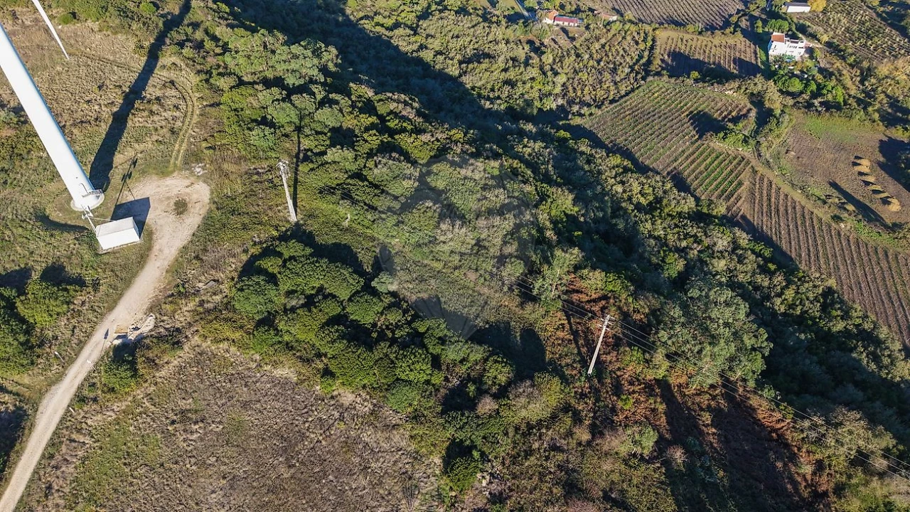 Terreno para Venda em Santiago dos Velhos Foto 3