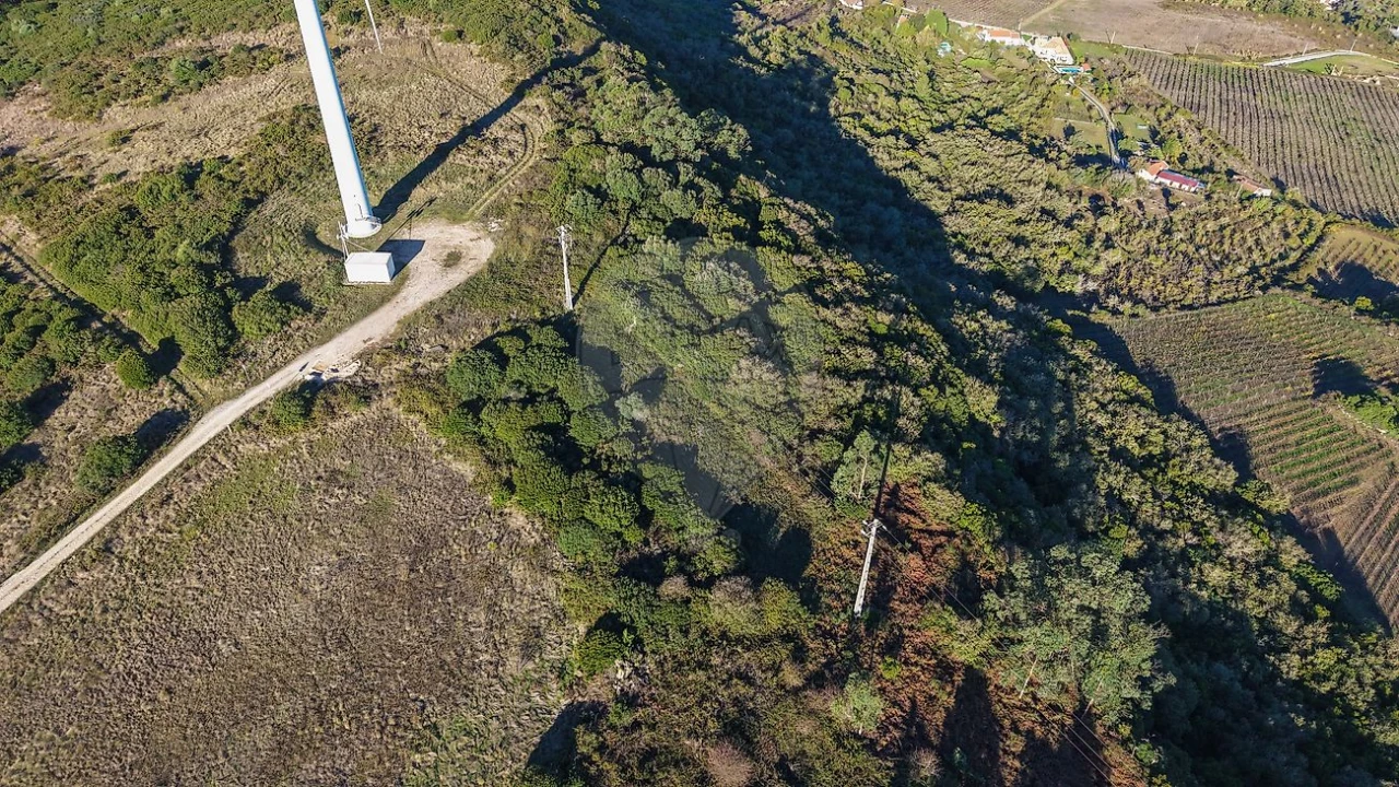 Terreno para Venda em Santiago dos Velhos Foto 8