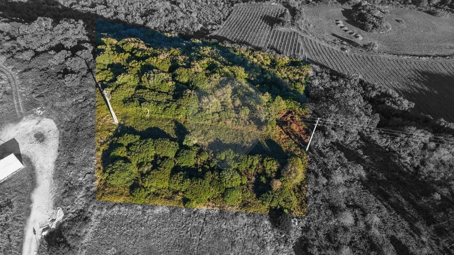 Terreno para Venda em Santiago dos Velhos Foto 1