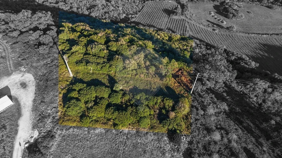 Terreno para Venda em Santiago dos Velhos