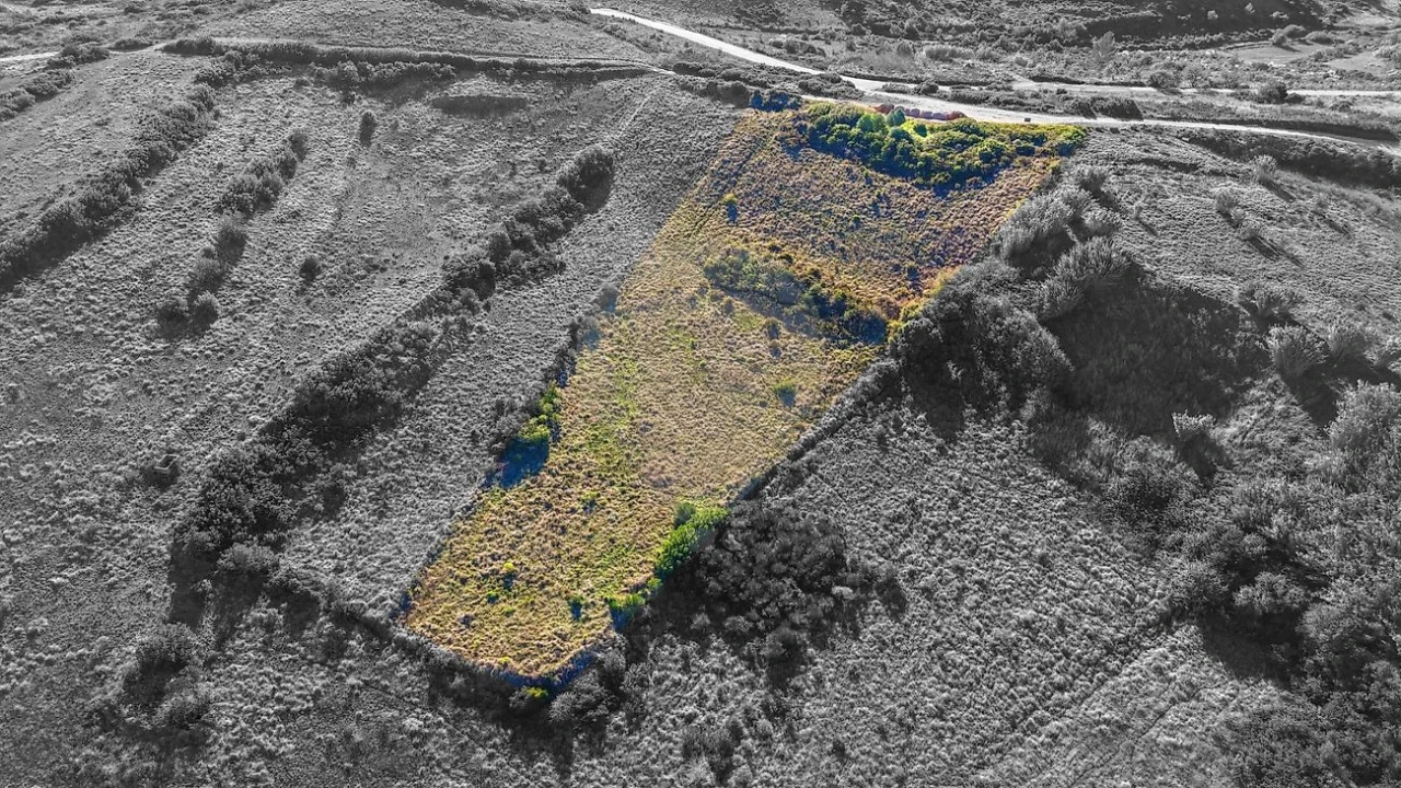 Terreno para Venda em Arranho Foto 1