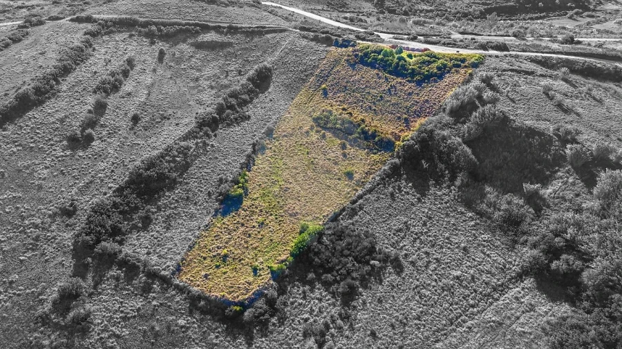 Terreno para Venda em Arranho