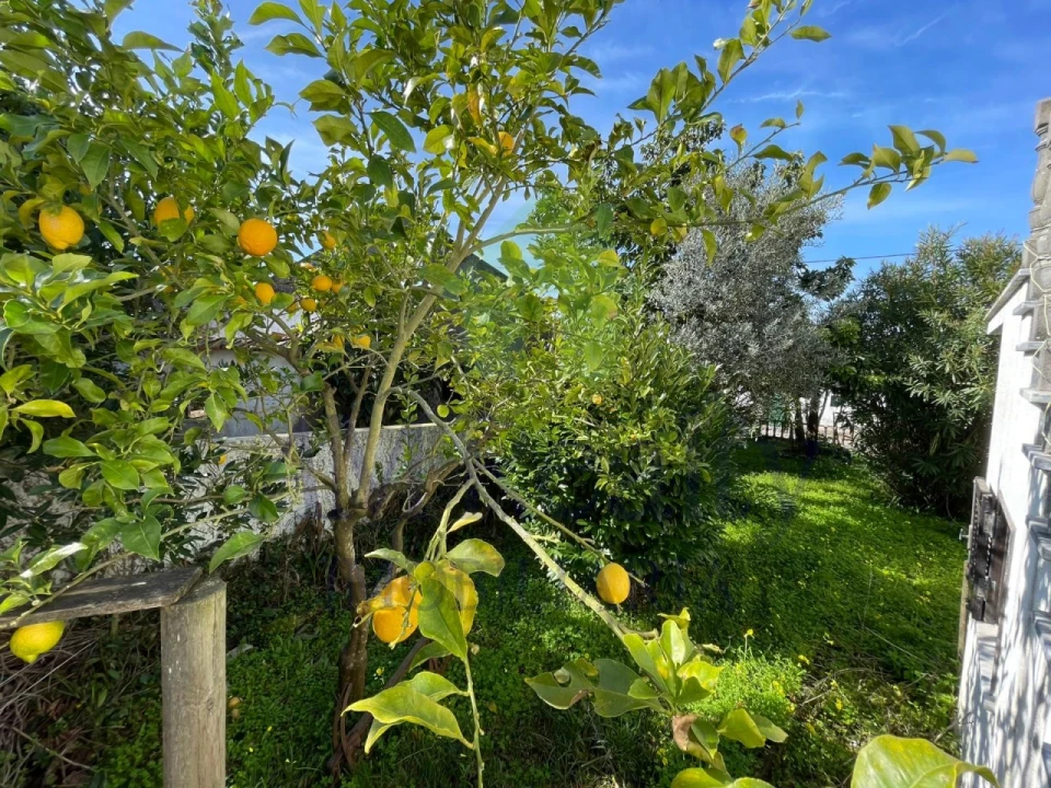 Moradia T3 para Venda em A dos Negros Foto 7