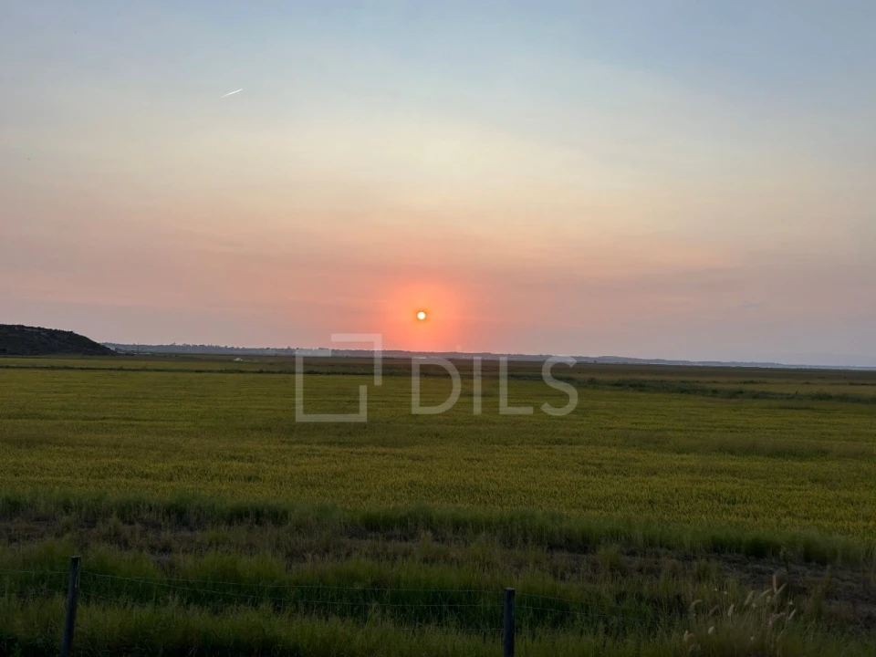 Moradia T4 para Venda em Comporta Foto 20