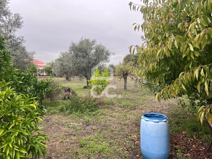 Moradia T3 para Venda em Pego Foto 5