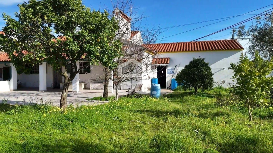 Moradia T3 para Venda em Pego Foto 20