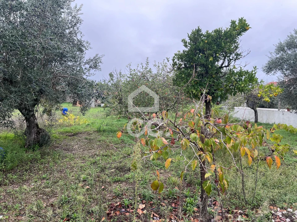 Moradia T3 para Venda em Pego Foto 4