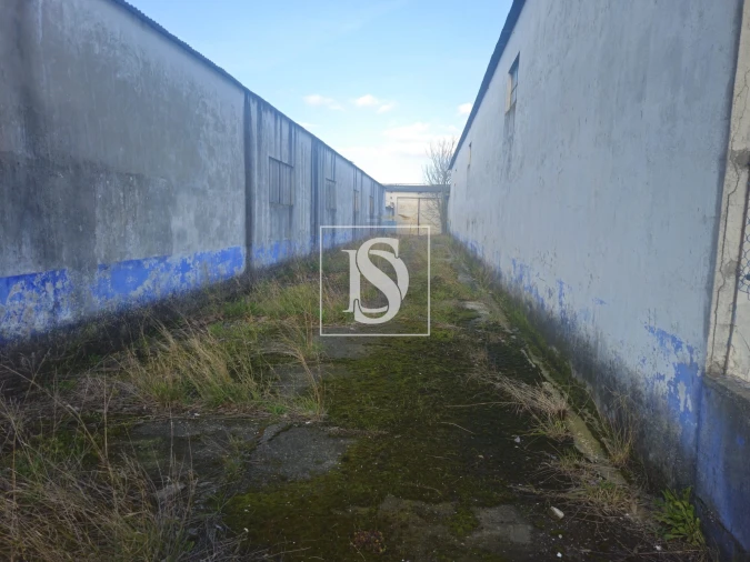 Armazém para Venda em Almeirim Foto 12