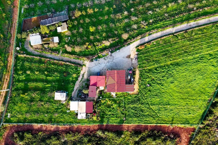 Quinta T2 para Venda em Mexilhoeira Grande Foto 12