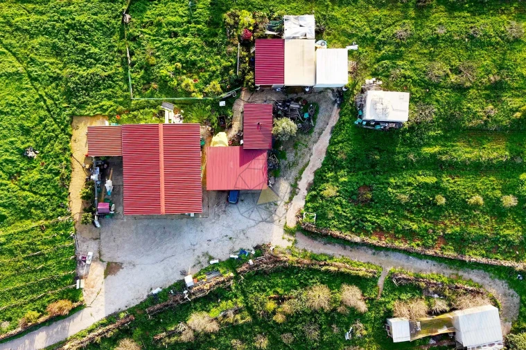 Quinta T2 para Venda em Mexilhoeira Grande Foto 15