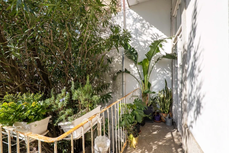 Moradia T5 para Venda em Bonfim Foto 50