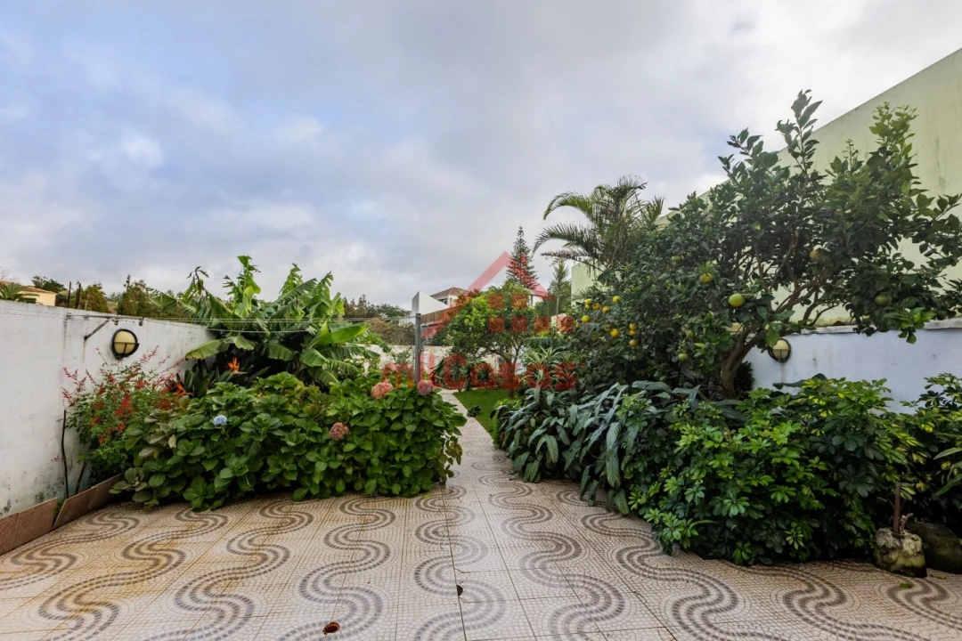 Moradia T4 para Venda em Rosto do Cão (Livramento) Foto 6