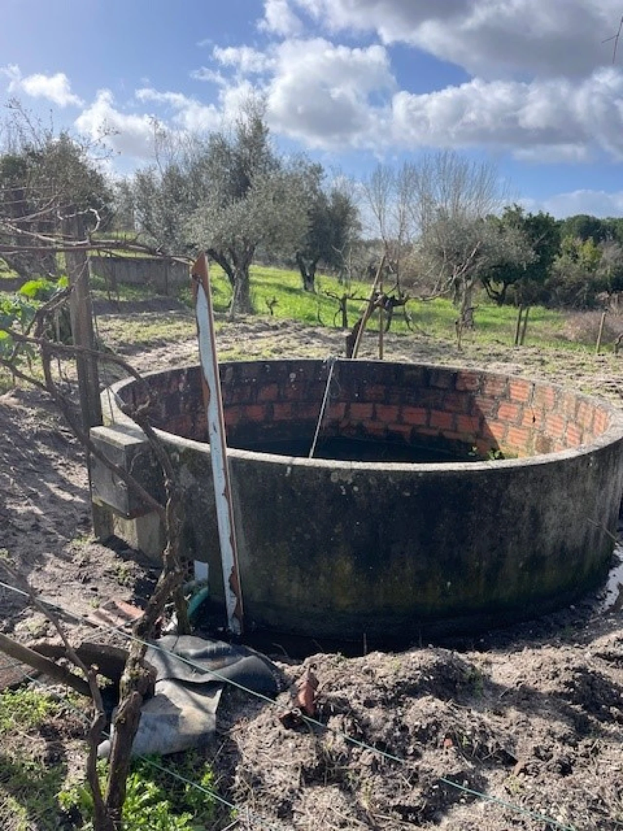 Quinta T3 para Venda em Foros de Arrão Foto 22