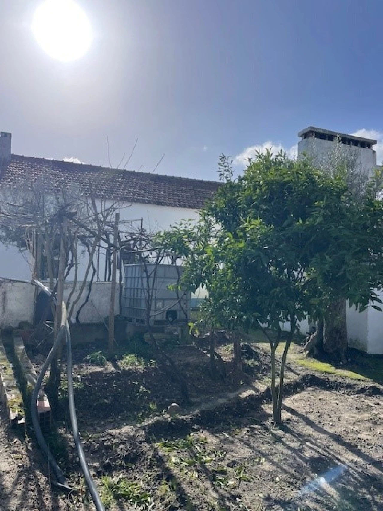 Quinta T3 para Venda em Foros de Arrão Foto 25