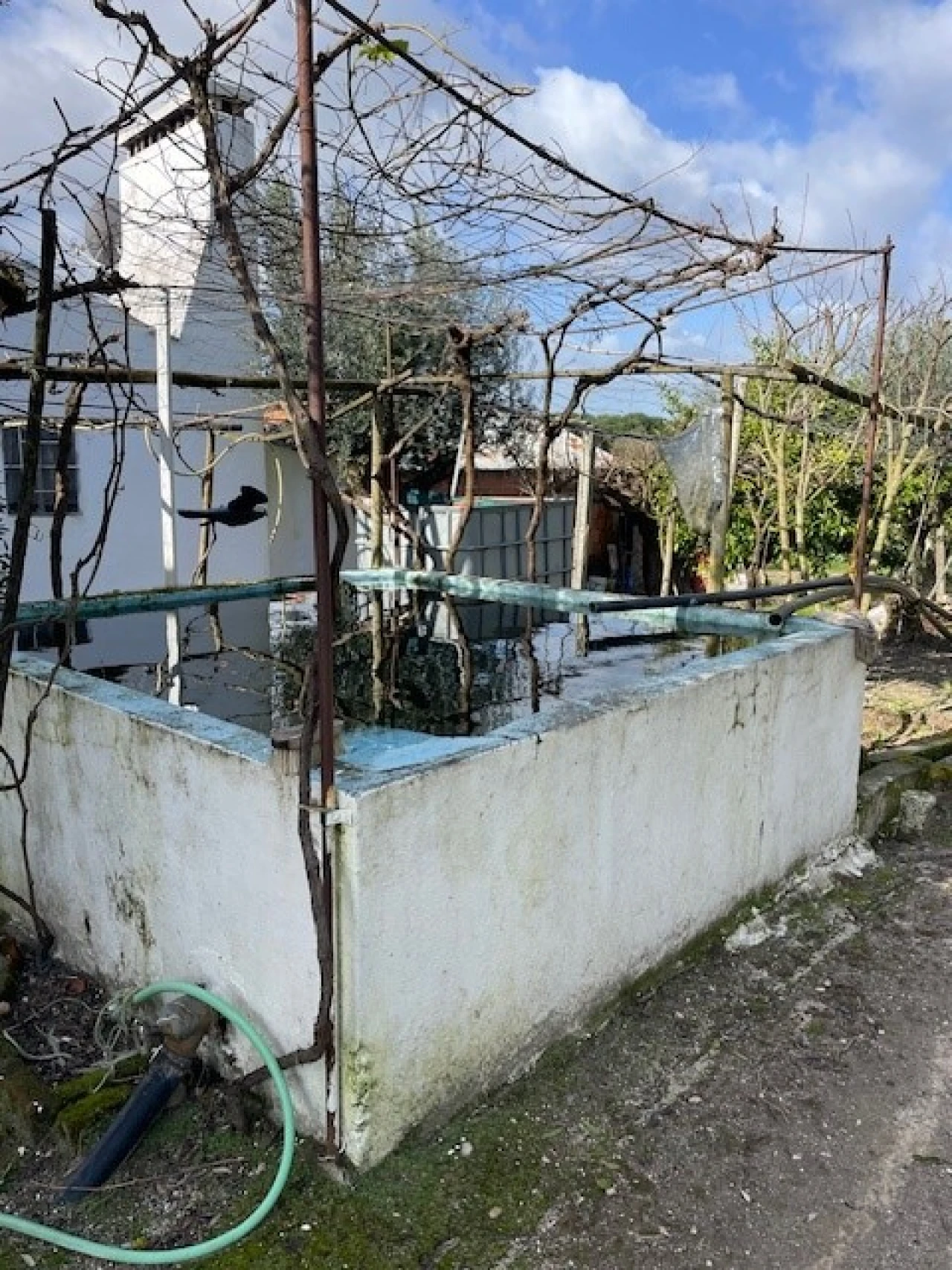 Quinta T3 para Venda em Foros de Arrão Foto 26