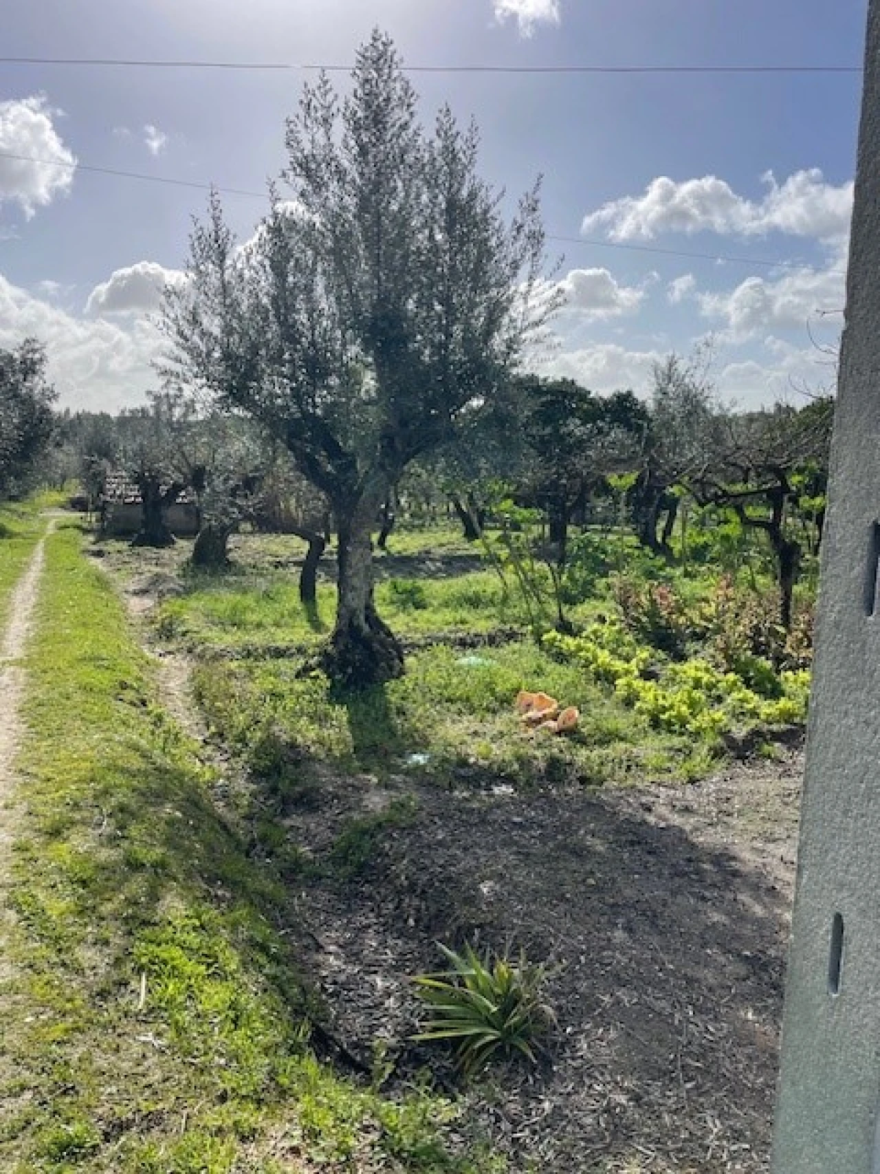 Quinta T3 para Venda em Foros de Arrão Foto 27