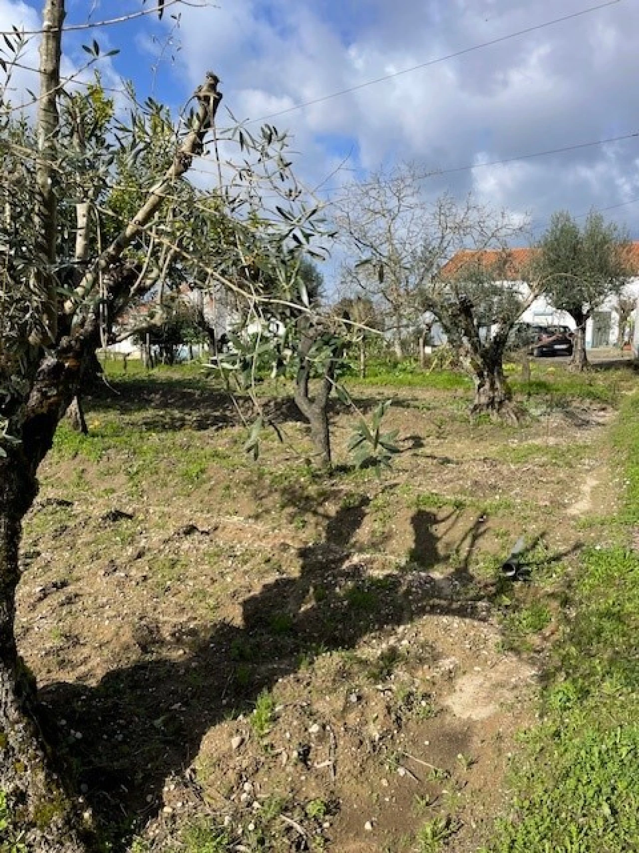 Quinta T3 para Venda em Foros de Arrão Foto 28